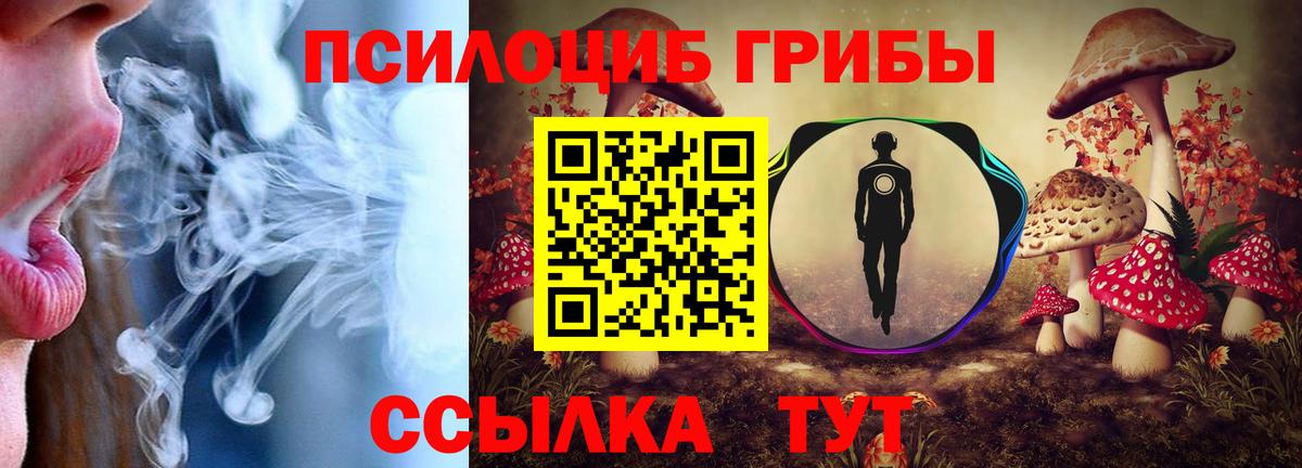 Псилоцибиновые грибы прущие грибы  даркнет сайт  Лабинск  Галлюциногенные грибы Psilocybe  Вход с VPN 
